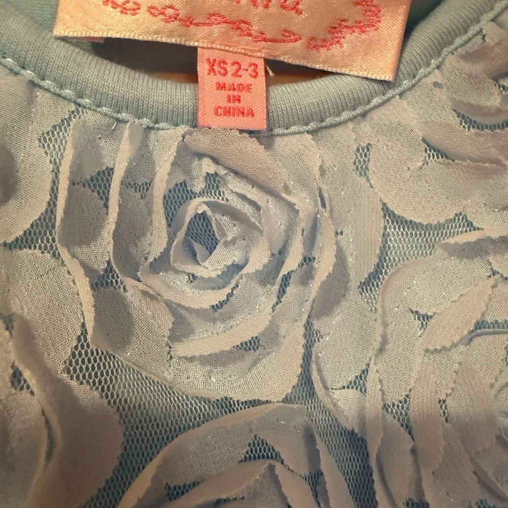 Popatu Light Blue Rosette Tulle Dress